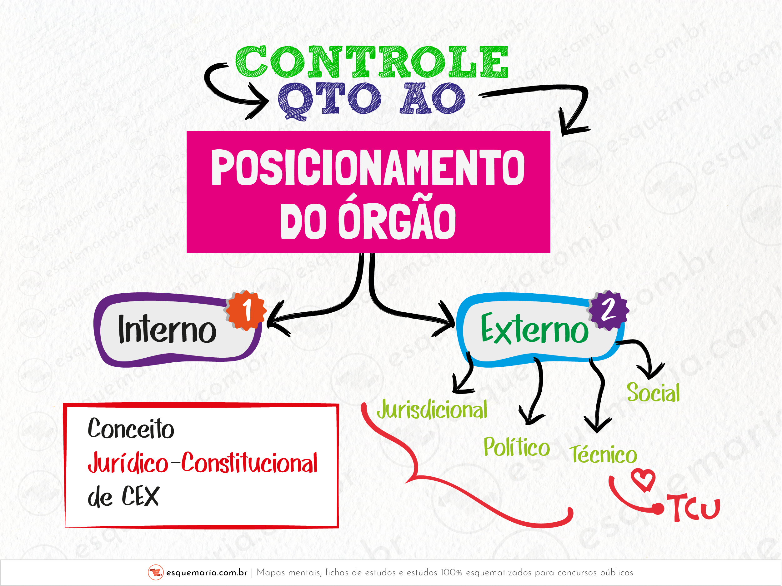 Quanto ao posicionamento do órgão