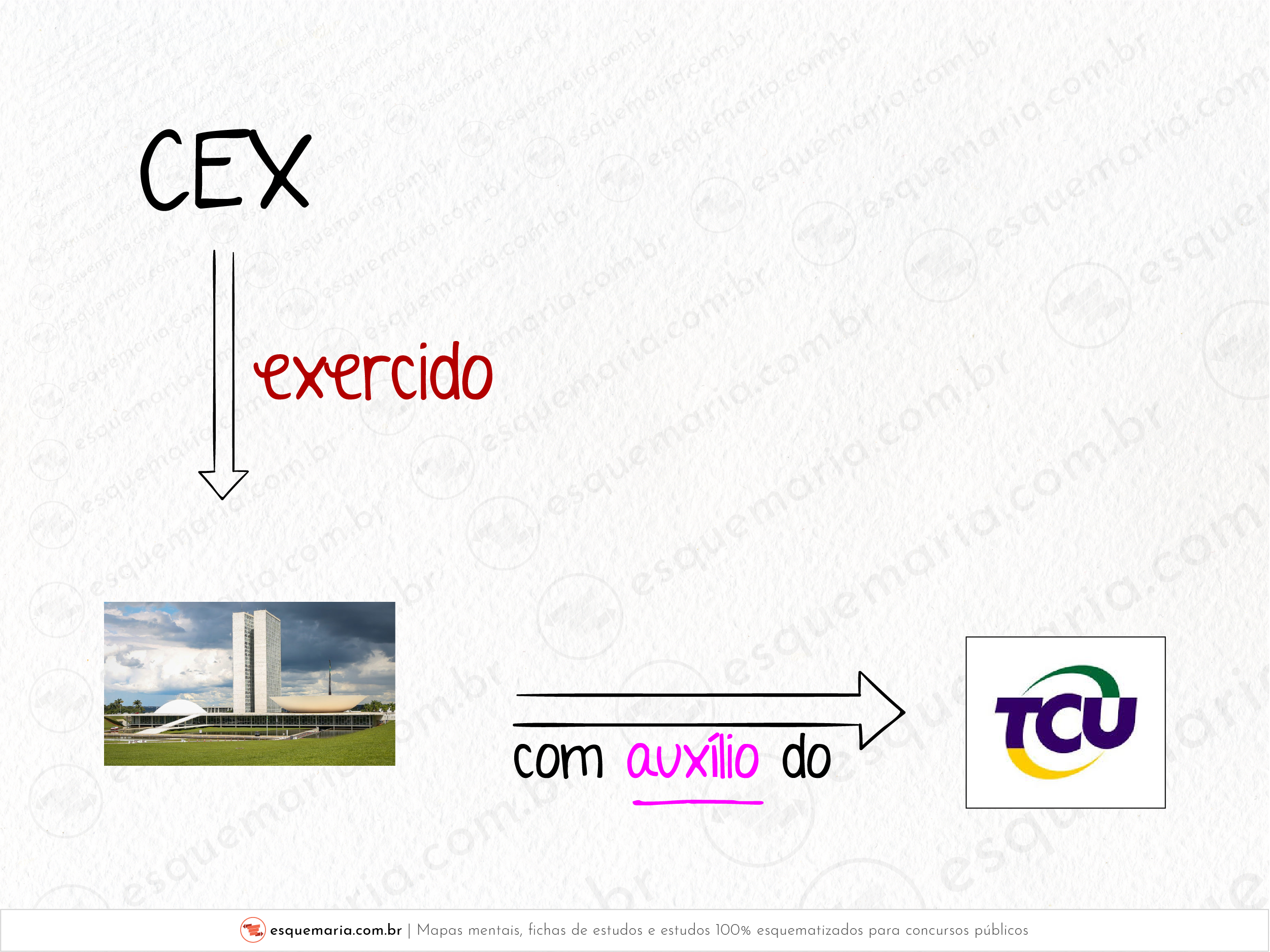Exercido pelo Congresso auxiliado pelo TCU-01