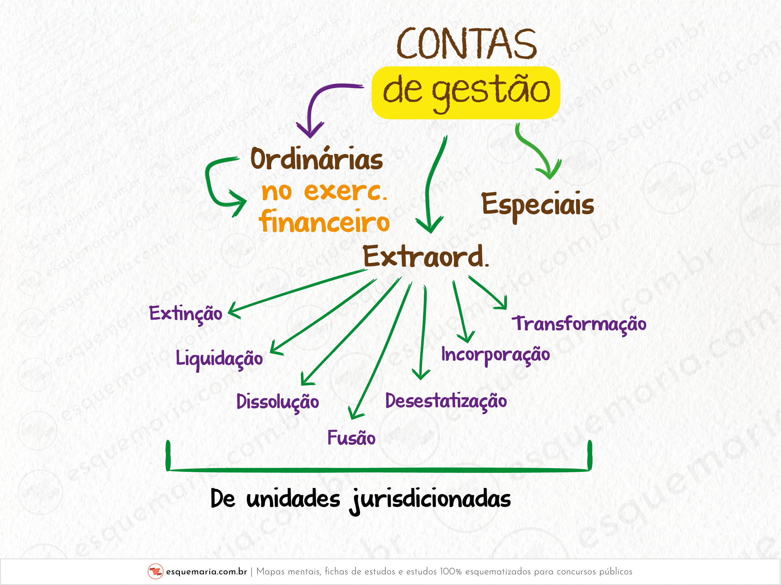 Quais são as contas de gestão-01